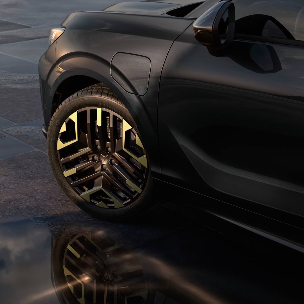 Tribe Edition Alloys