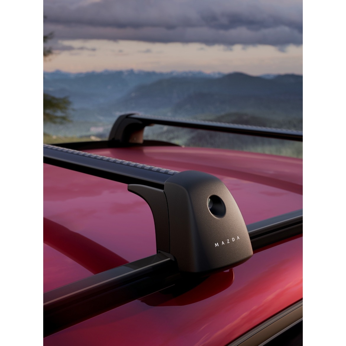 Roof Rack